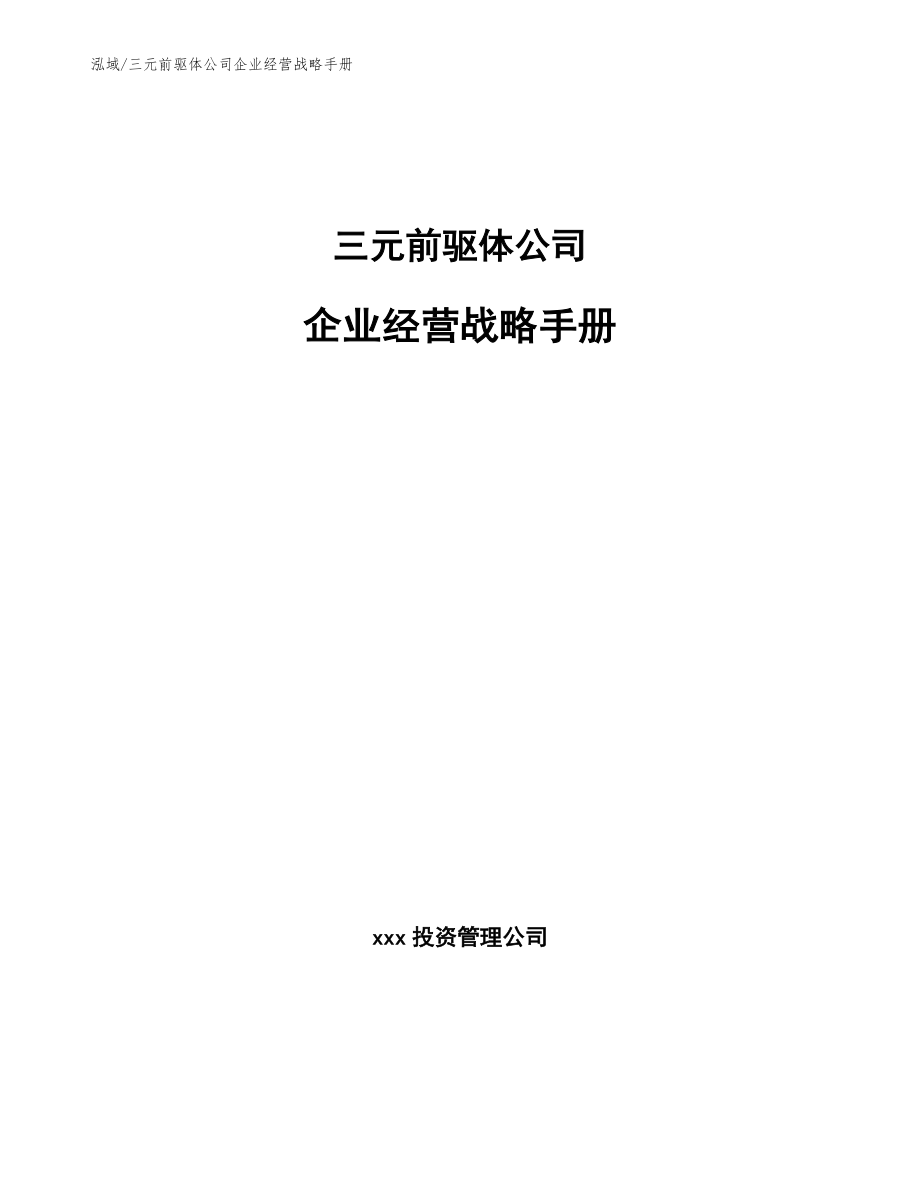 三元前驱体公司企业经营战略手册（参考）_第1页