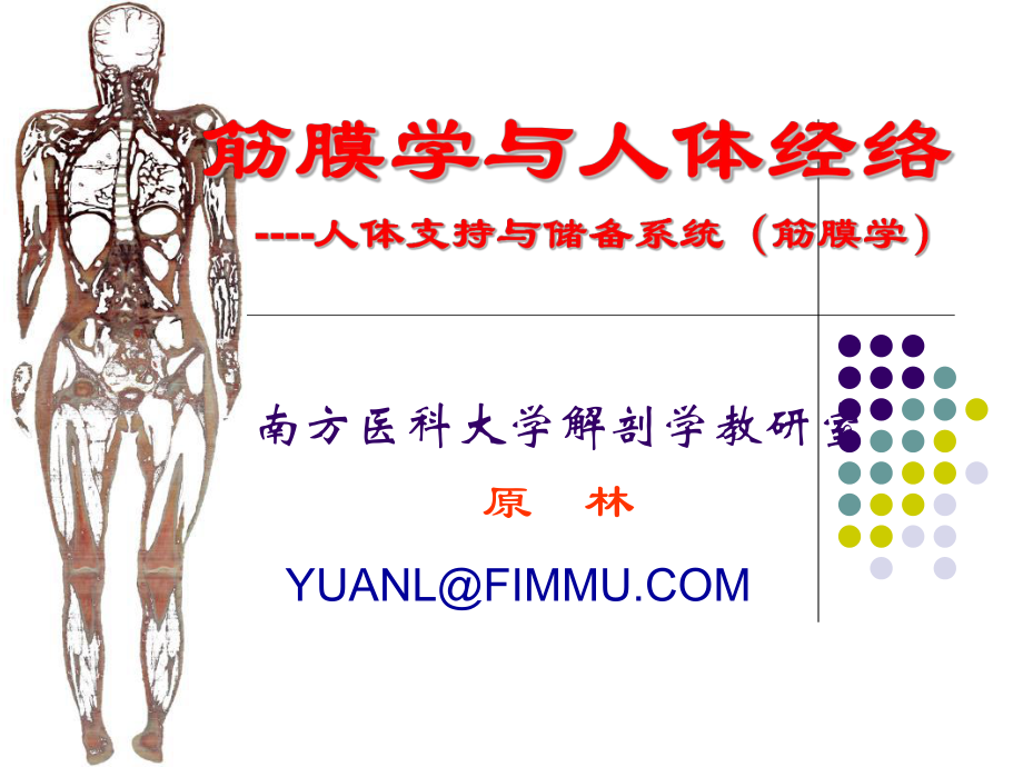 中医学理论筋膜学与人体经络_第1页