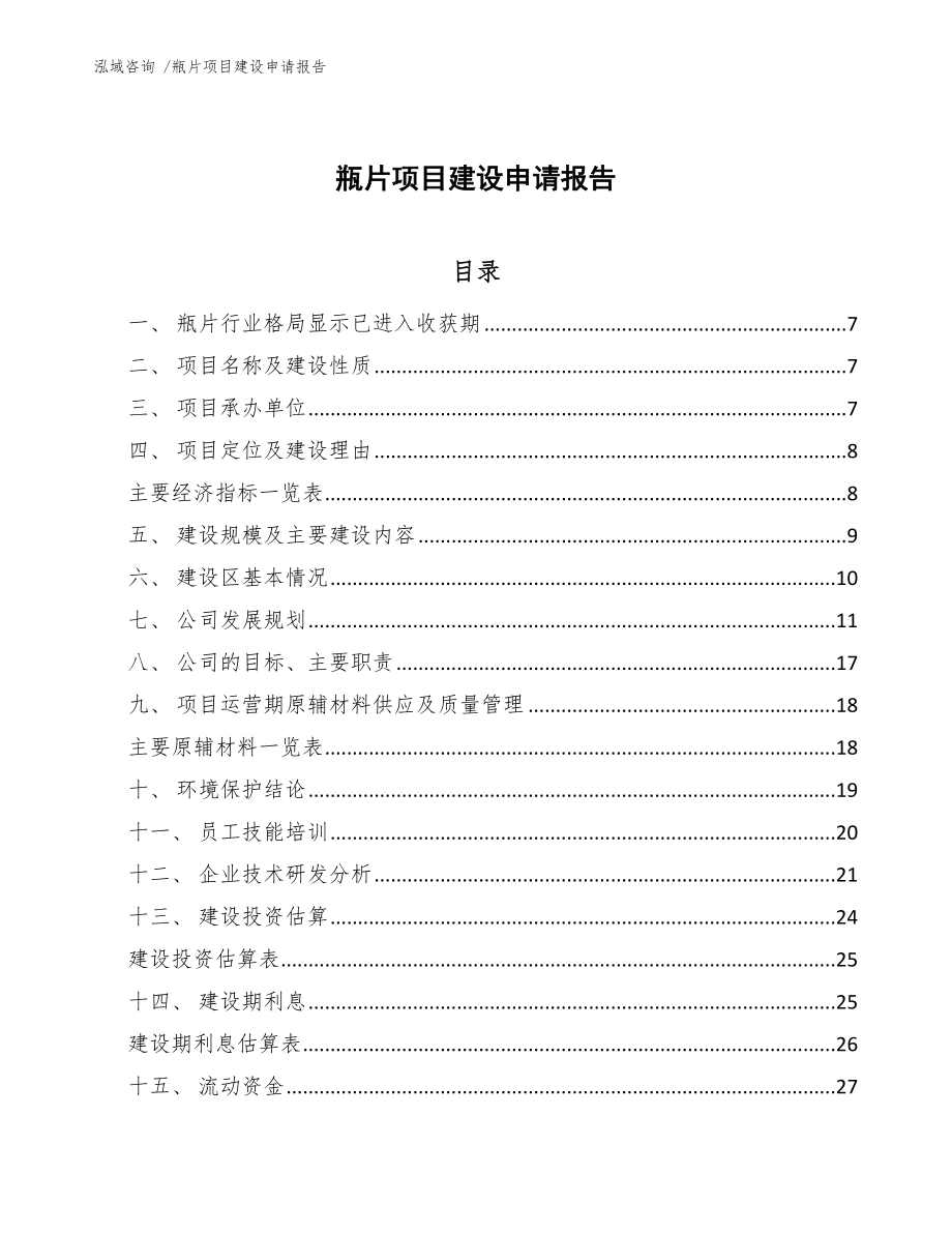 瓶片项目建设申请报告_第1页