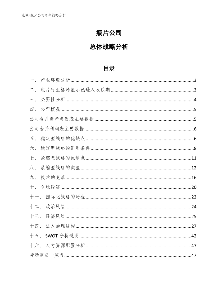 瓶片公司总体战略分析【范文】_第1页