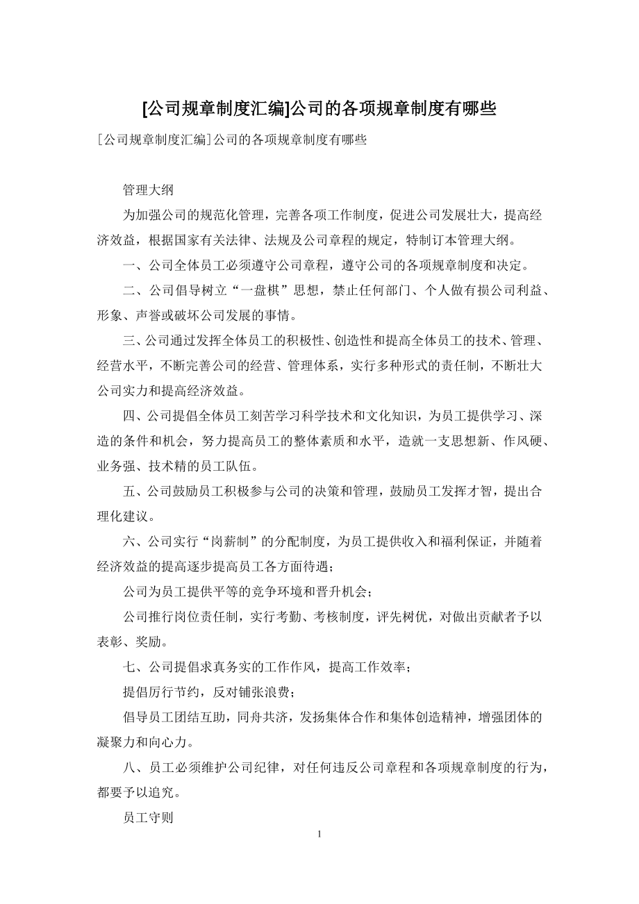 [公司规章制度汇编]公司的各项规章制度有哪些_第1页