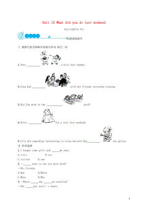 2019年春七年級(jí)英語(yǔ)下冊(cè) Unit 12 What did you do last weekend（第3課時(shí)）Section B（1a-1f）知能演練提升 （新版）人教新目標(biāo)版