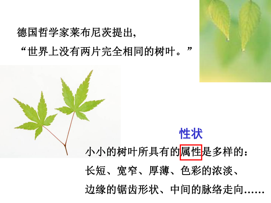 25生物的变异_第1页