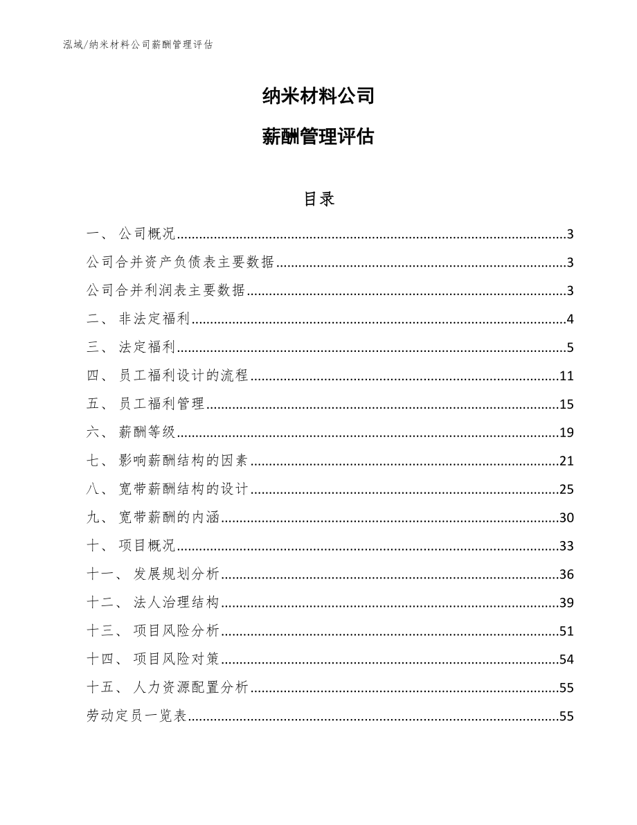 纳米材料公司薪酬管理评估_范文_第1页