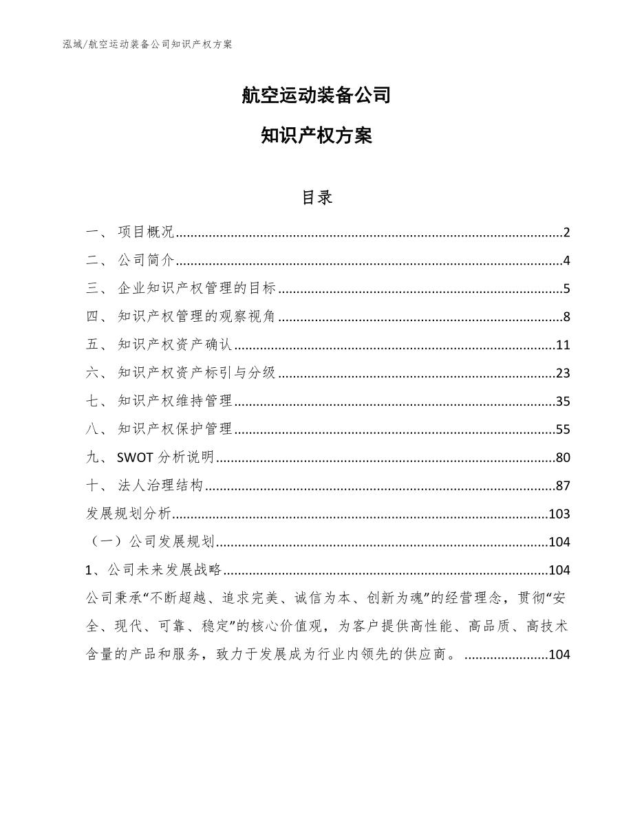 航空运动装备公司知识产权方案_第1页