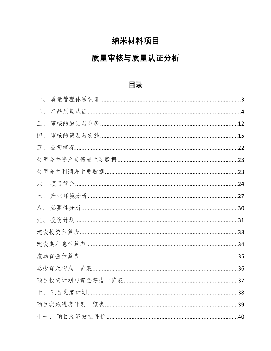 纳米材料项目质量审核与质量认证分析（参考）_第1页