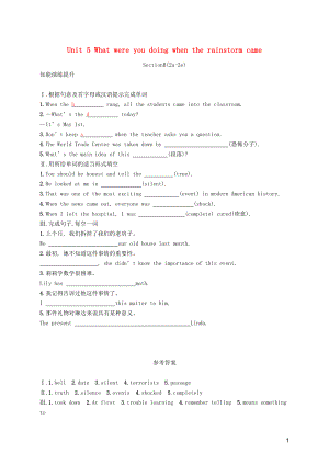 2019年春八年級(jí)英語下冊(cè) Unit 5 What were you doing when the rainstorm came（第4課時(shí)）Section B（2a-2e）知能演練提升 （新版）人教新目標(biāo)版