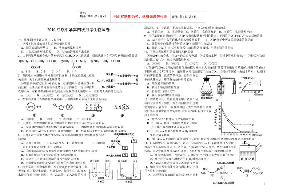 红旗中学第四次月考生物试卷_第1页