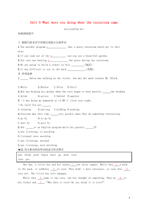 2019年春八年級英語下冊 Unit 5 What were you doing when the rainstorm came（第2課時）Section A（3a-4c）知能演練提升 （新版）人教新目標版