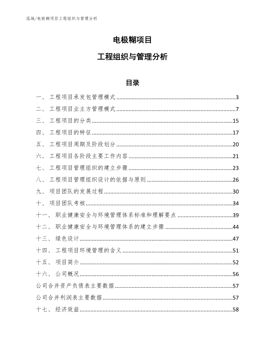 电极糊项目工程组织与管理分析_第1页