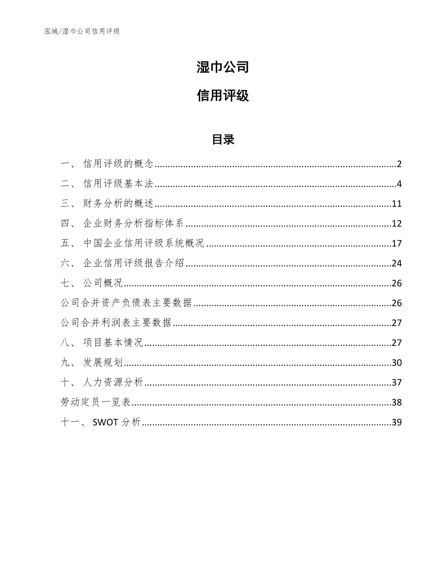 湿巾公司信用评级【参考】_第1页