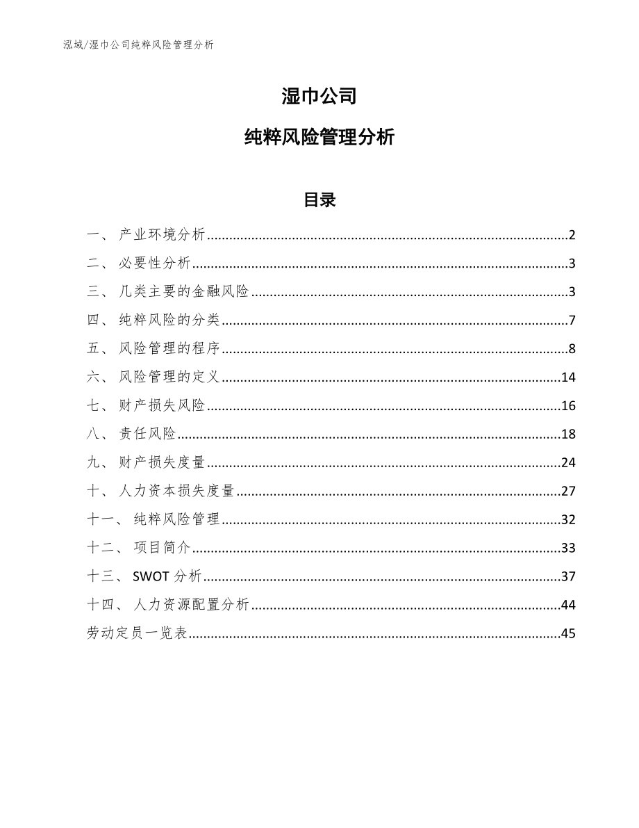 湿巾公司纯粹风险管理分析【范文】_第1页