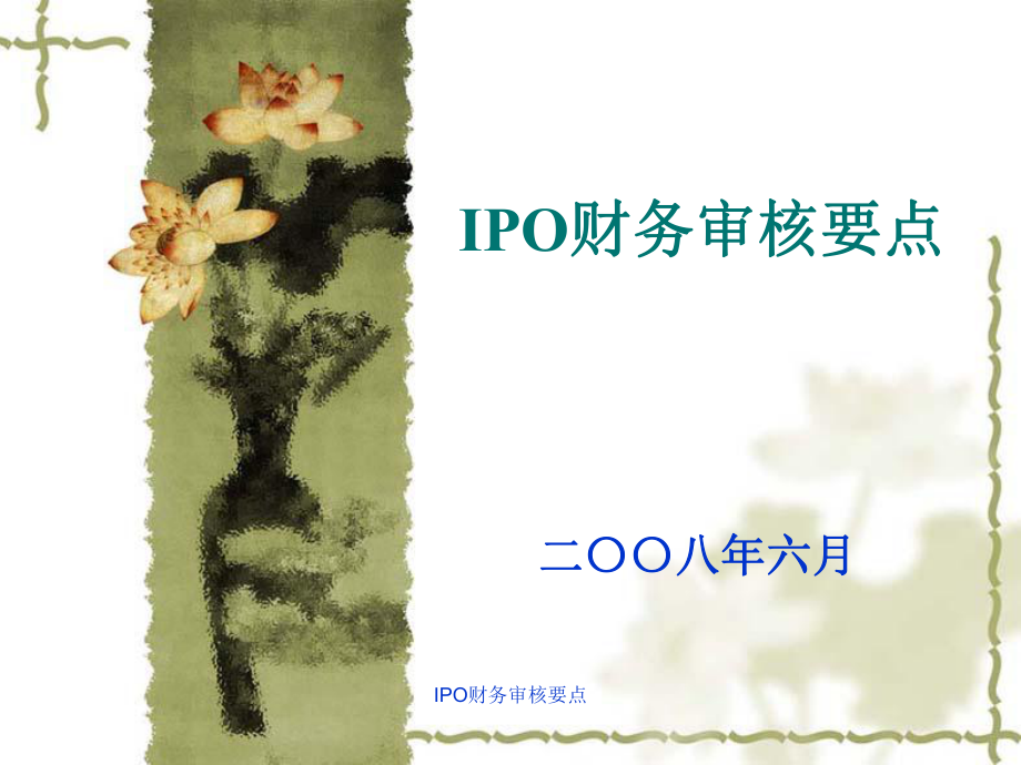 IPO财务审核要点课件_第1页