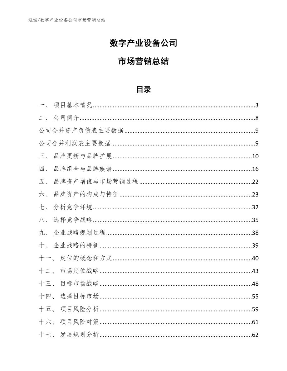 数字产业设备公司市场营销总结【范文】_第1页