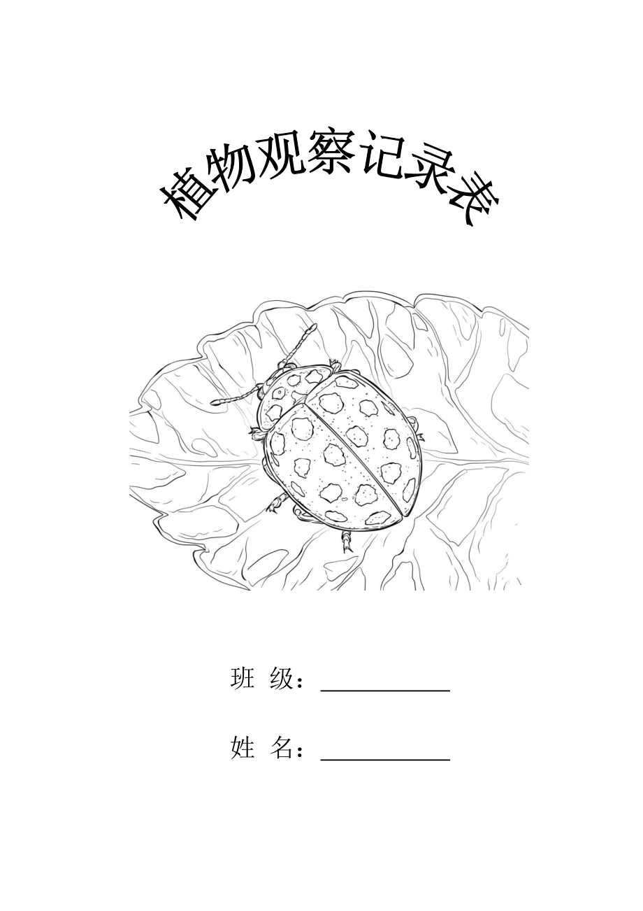 植物观察记录表_第1页