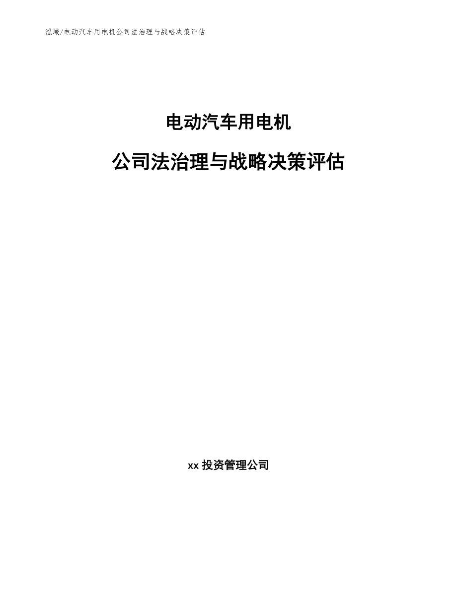 电动汽车用电机公司法治理与战略决策评估（范文）_第1页