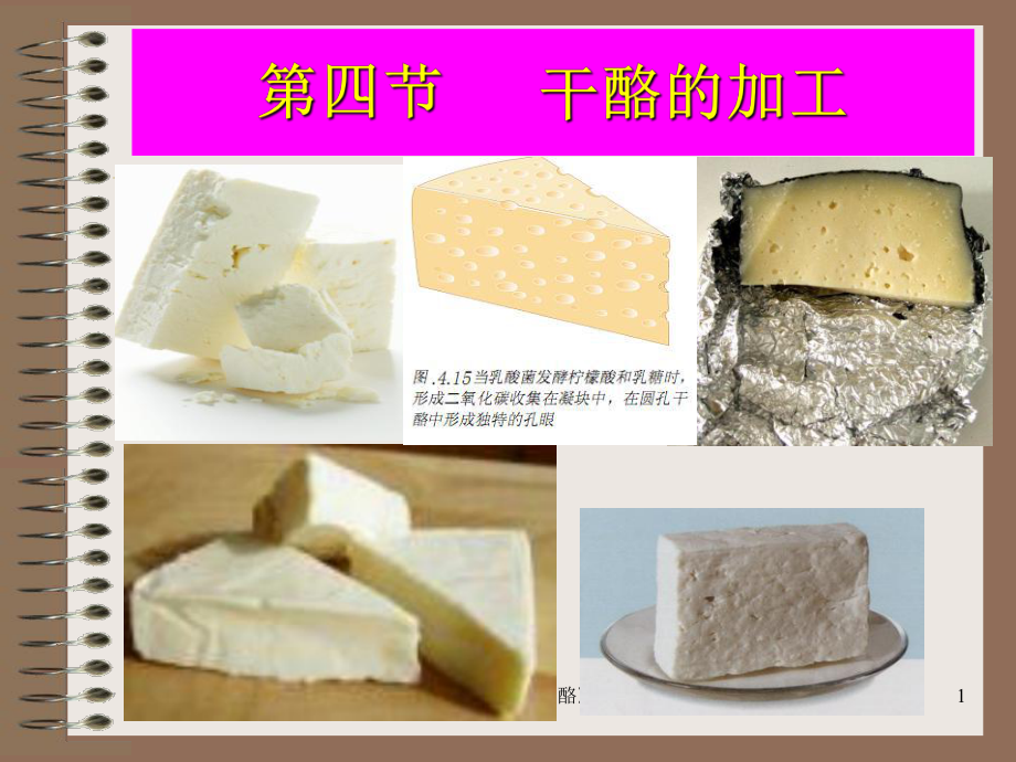 发酵乳制品奶酪课件_第1页