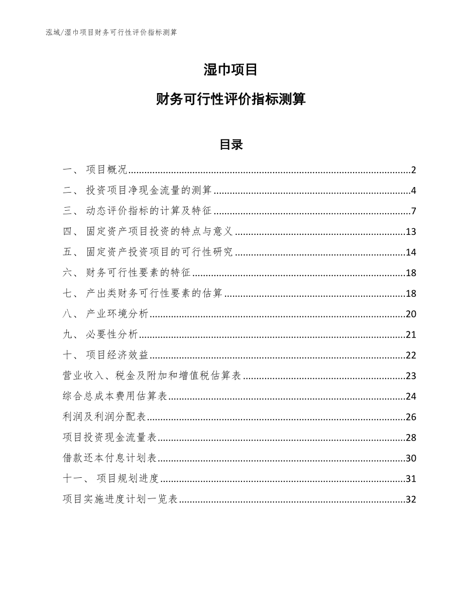 湿巾项目财务可行性评价指标测算_第1页