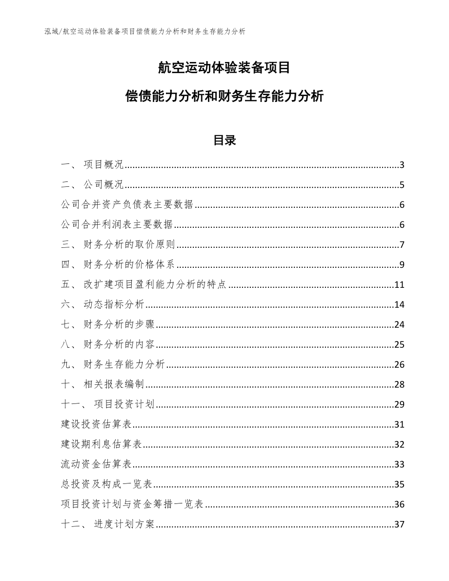 航空运动体验装备项目偿债能力分析和财务生存能力分析【参考】_第1页