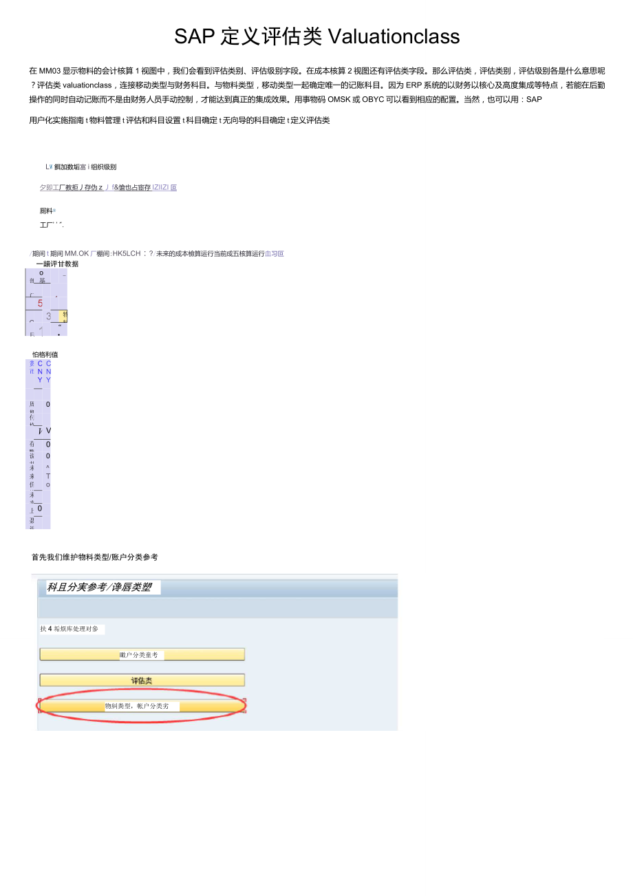 SAP定义评估类Valuationclass_第1页