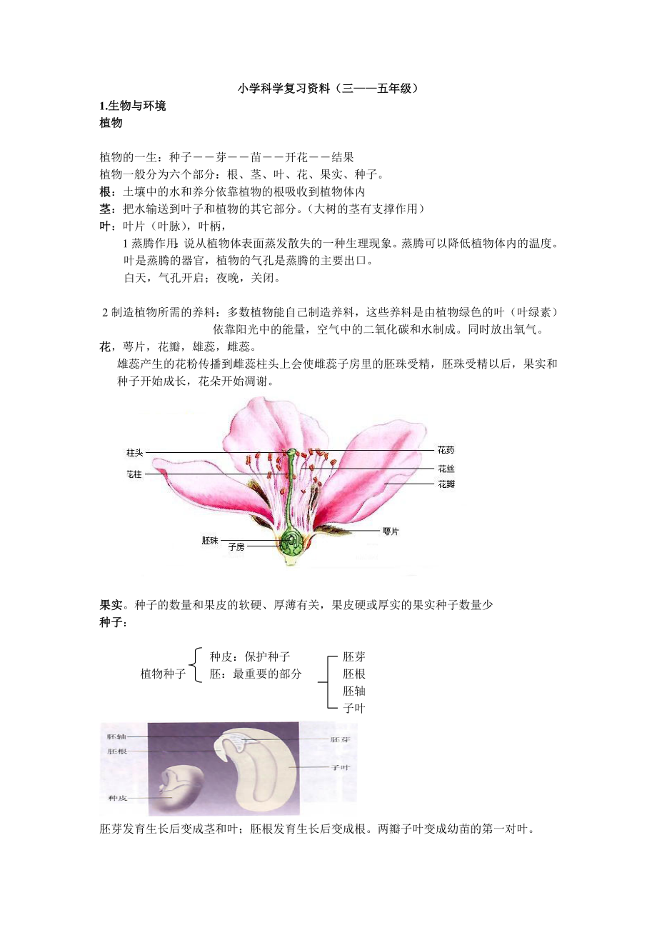 教科版小学科学毕业总复习提纲_第1页