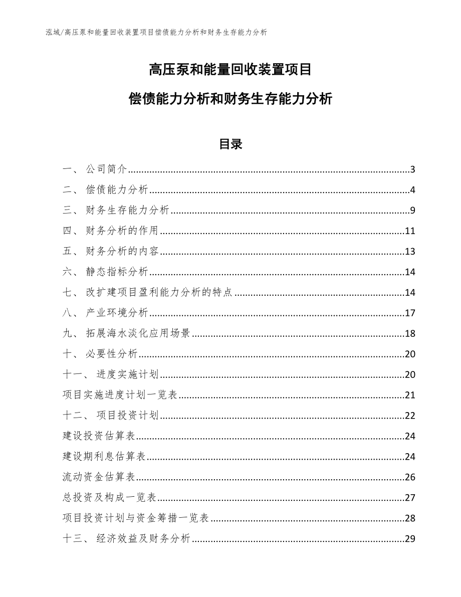 高压泵和能量回收装置项目偿债能力分析和财务生存能力分析_第1页