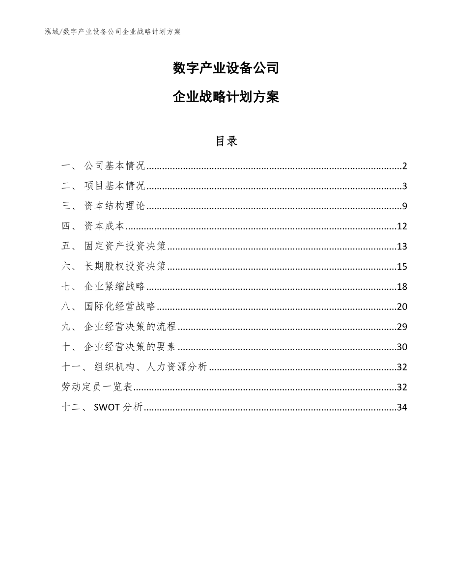 数字产业设备公司企业战略计划方案【参考】_第1页