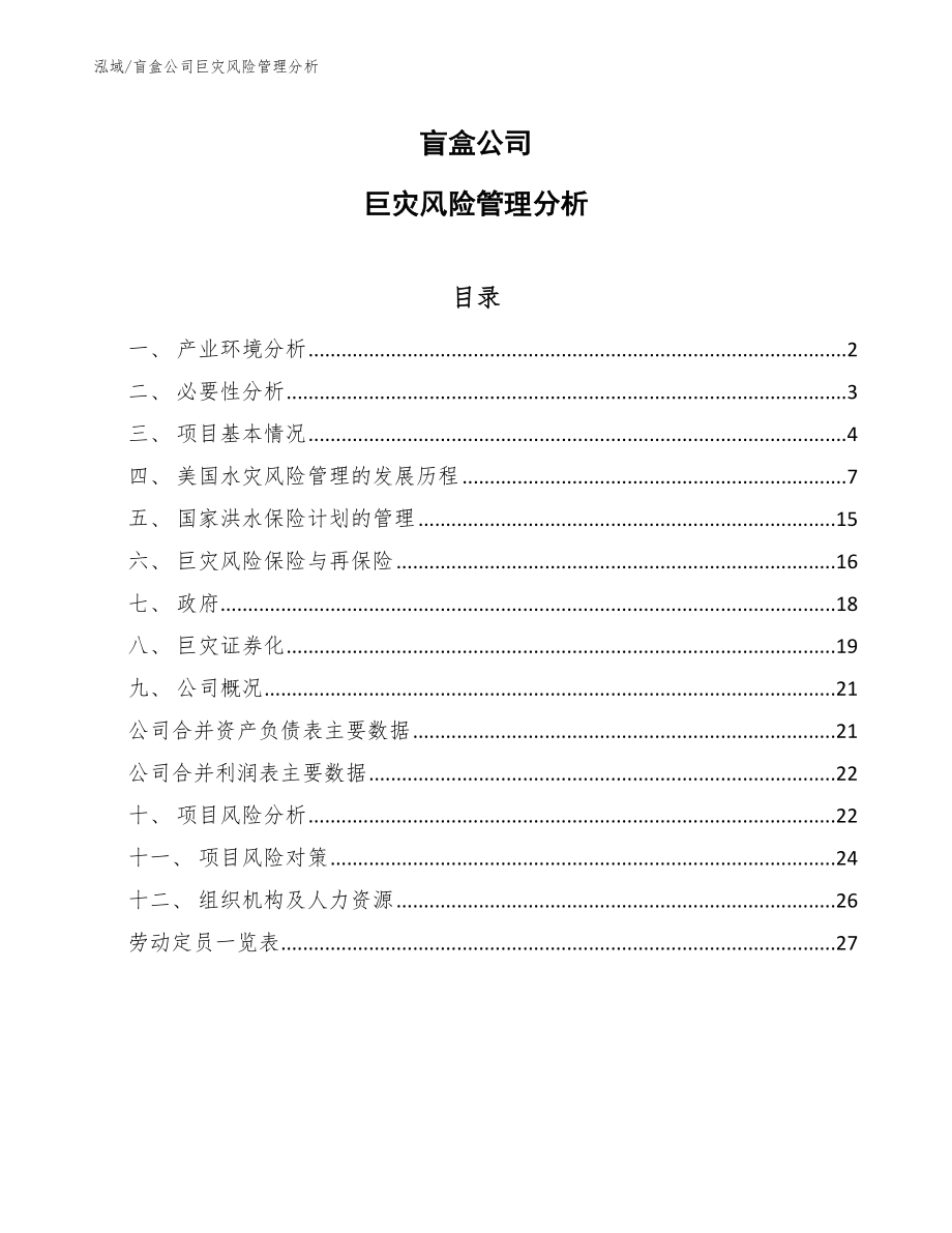 盲盒公司巨灾风险管理分析_第1页