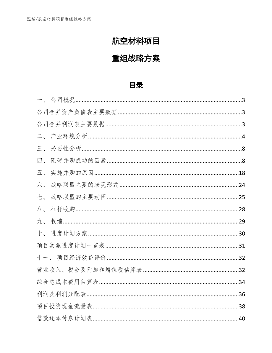 航空材料项目重组战略方案（参考）_第1页