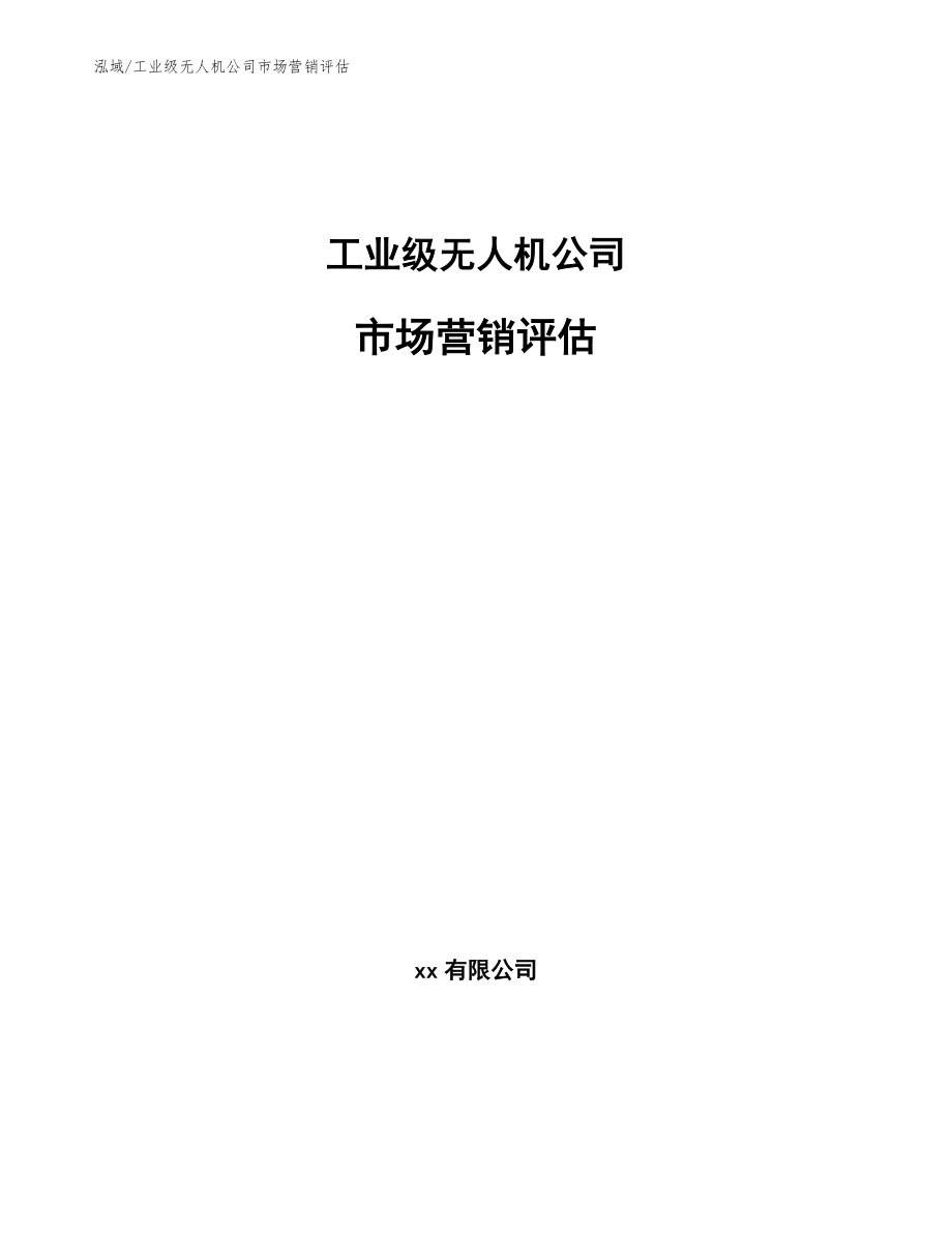 工业级无人机公司市场营销评估【参考】_第1页