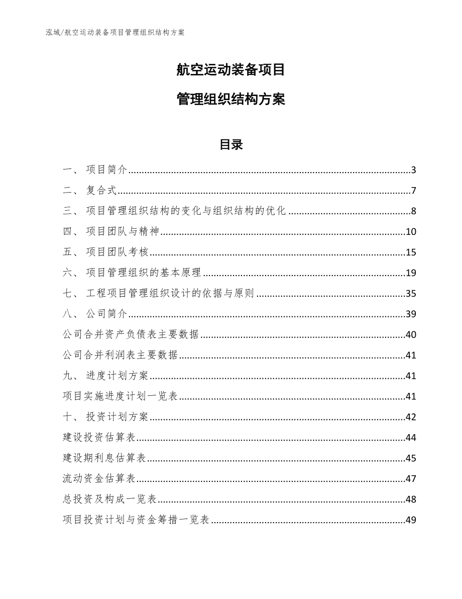 航空运动装备项目管理组织结构方案【范文】_第1页