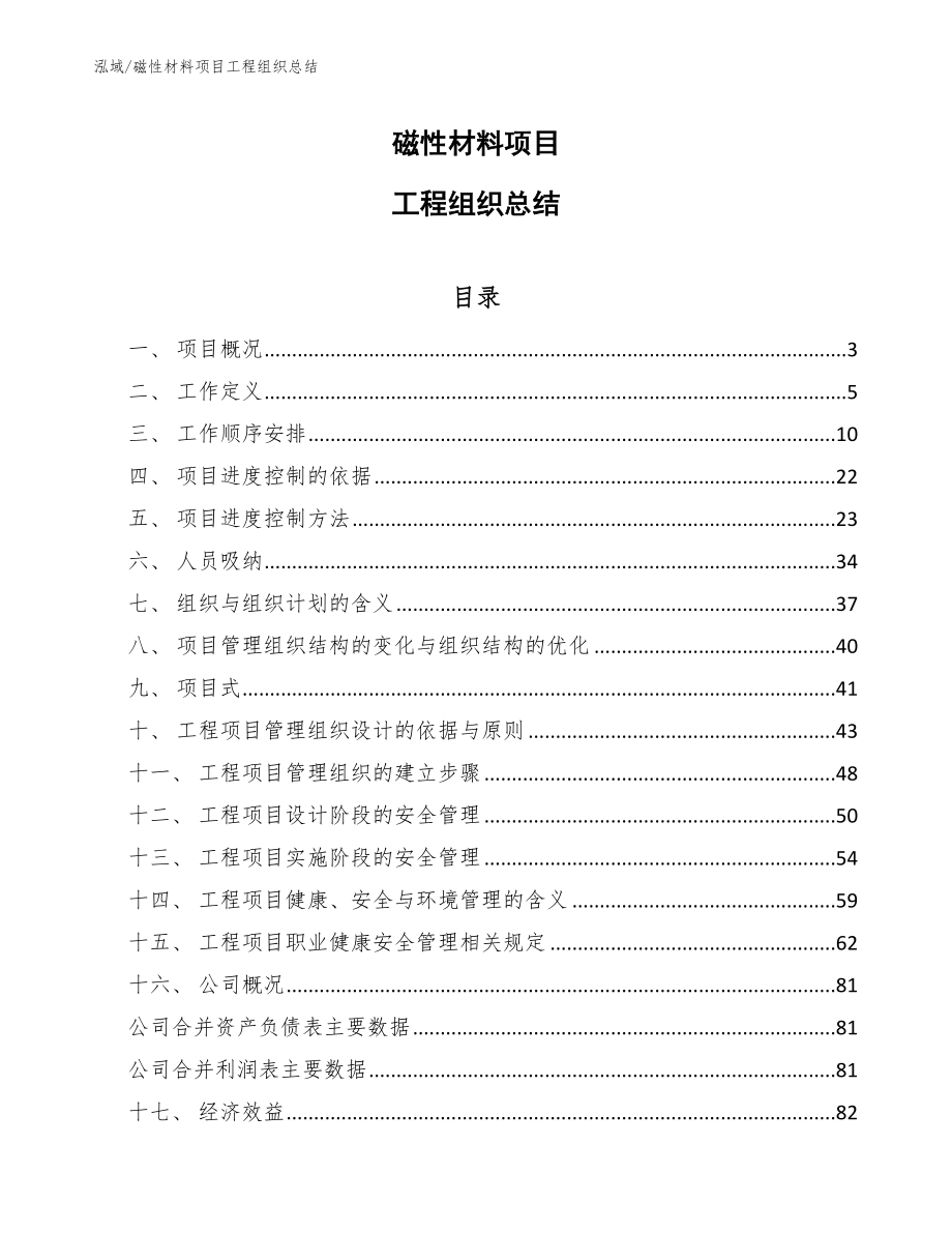 磁性材料项目工程组织总结_范文_第1页