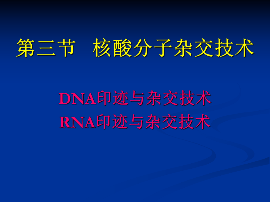DNA印迹与杂交技术_第1页