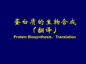 医学ppt课件-蛋白质的生物合成
