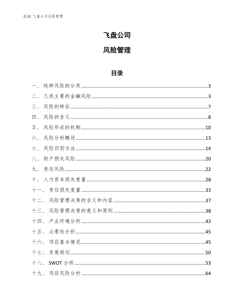 飞盘公司风险管理【参考】_第1页