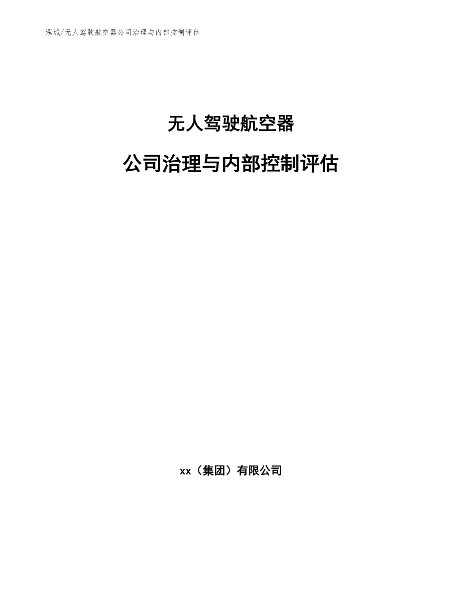 无人驾驶航空器公司治理与内部控制评估【范文】_第1页