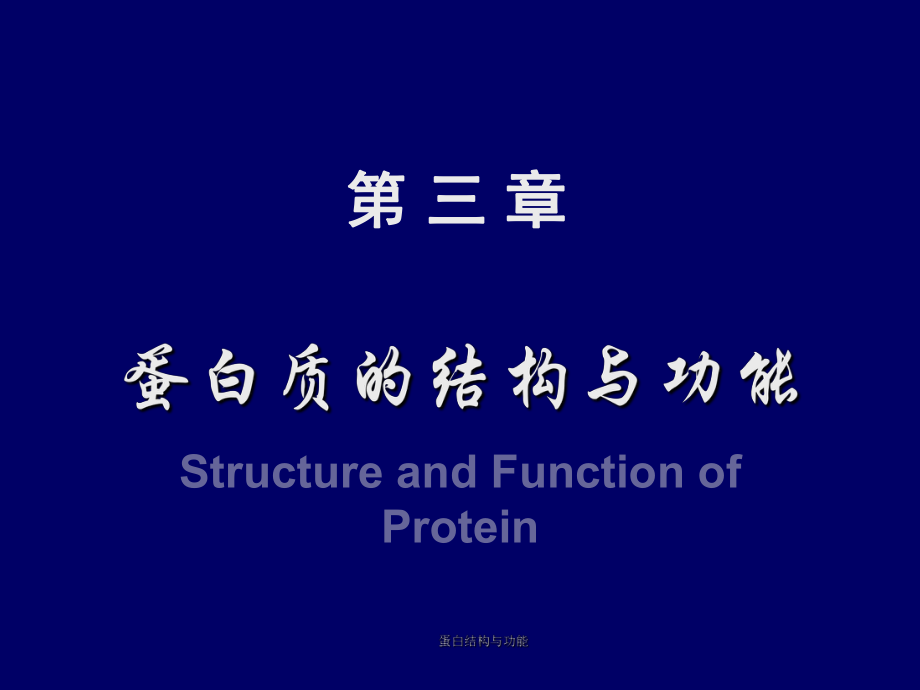 蛋白结构与功能课件_第1页