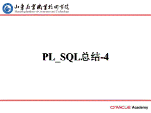 LSQL总结课件