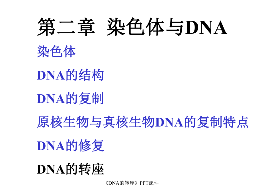 DNA的转座课件_第1页