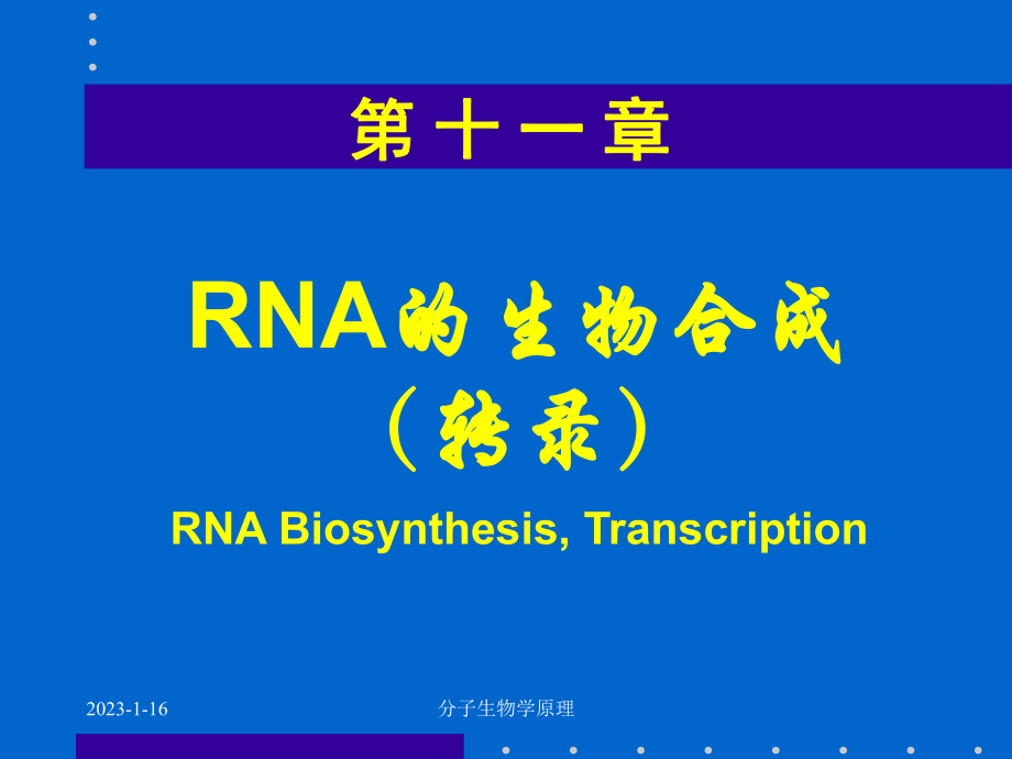 分子生物学原理--RNA的生物合成 课件_第1页