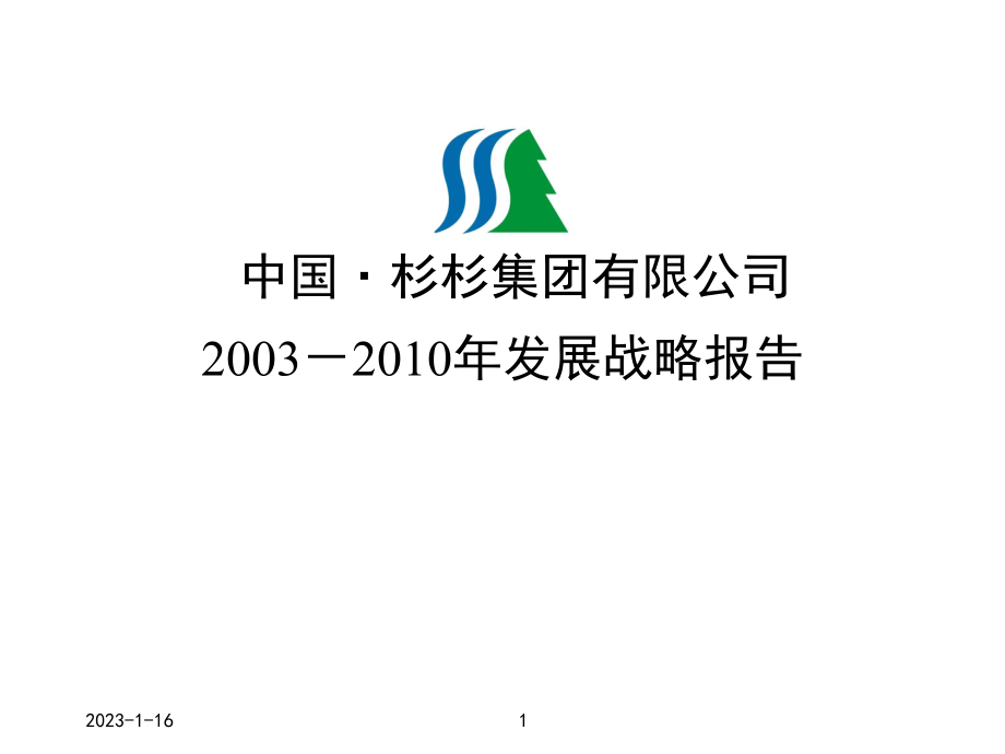 XX服装集团有限公司2003－某某年发展战略报告_第1页