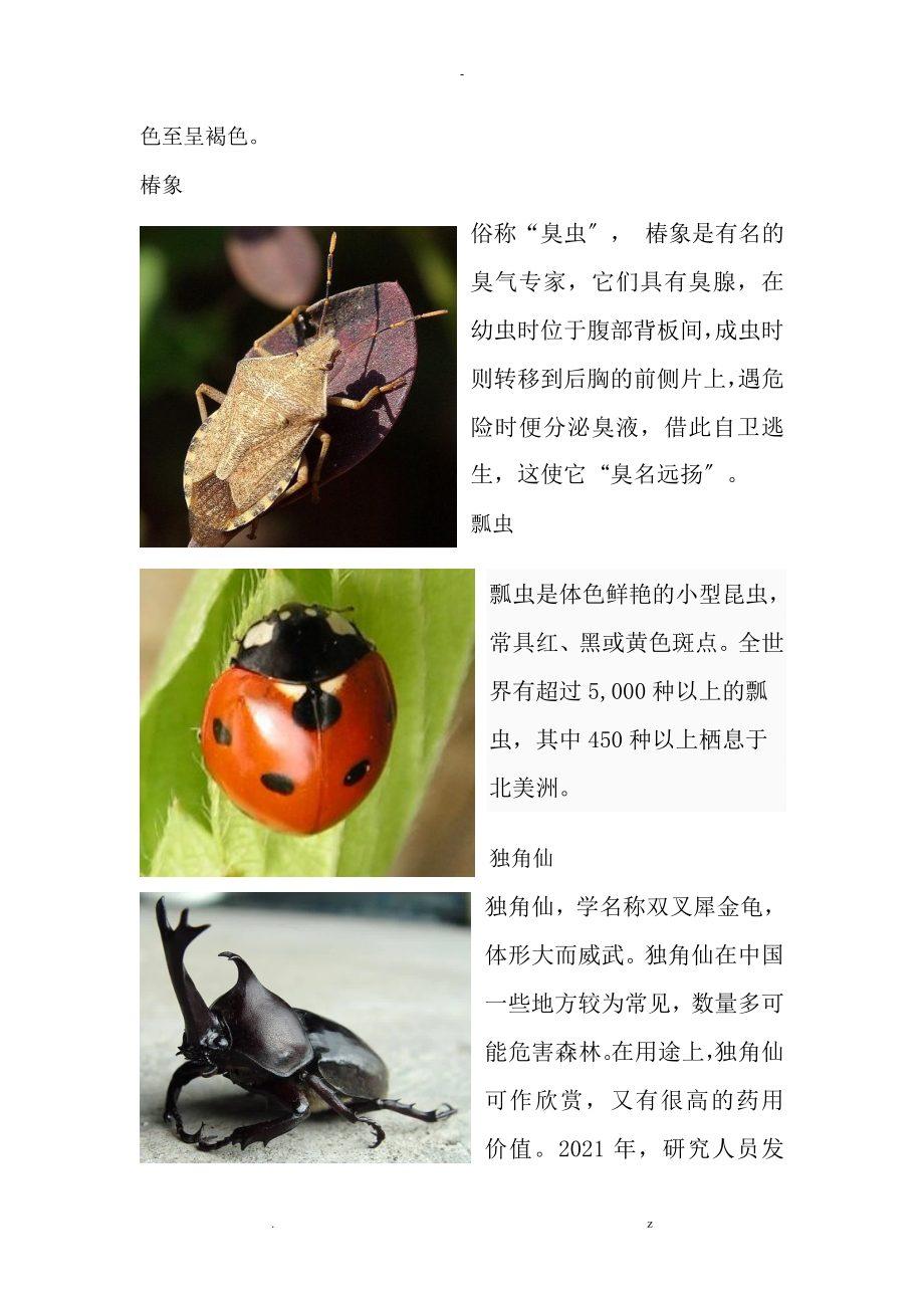 常见的昆虫文字图片