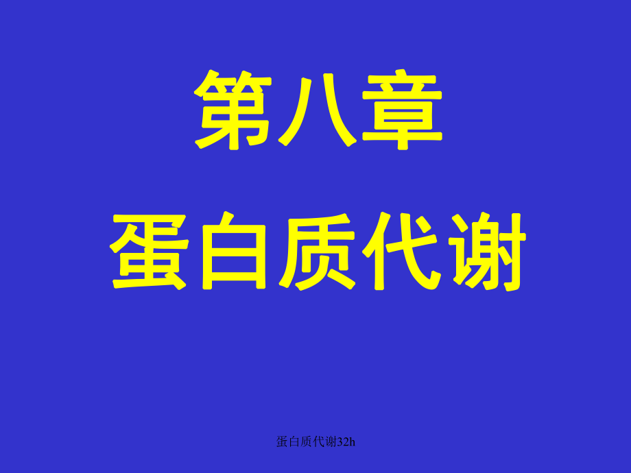 蛋白质代谢32h课件_第1页