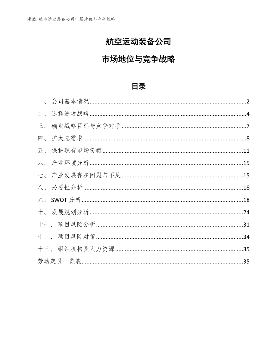 航空运动装备公司市场地位与竞争战略_第1页