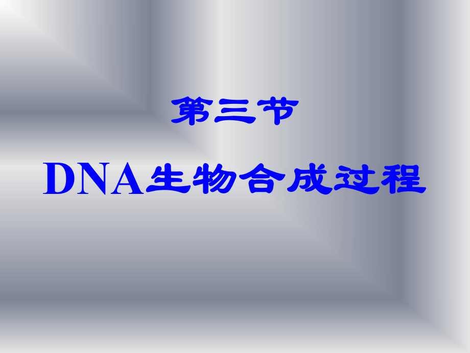 DNA生物合成过程PPT课件_第1页