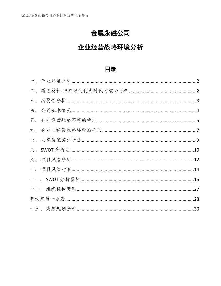 金属永磁公司企业经营战略环境分析_参考_第1页