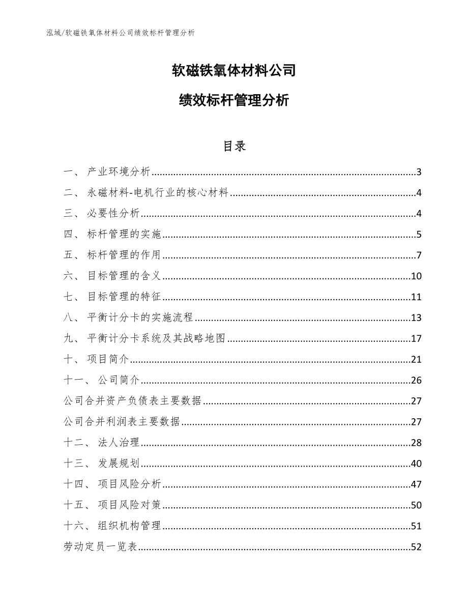 软磁铁氧体材料公司绩效标杆管理分析（参考）_第1页