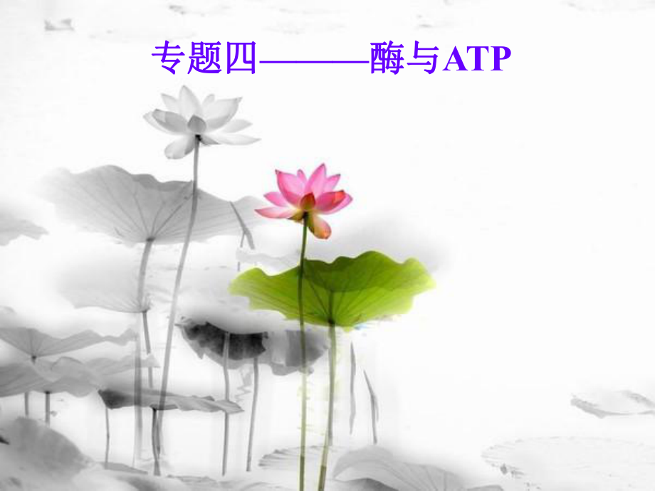 生物必修1酶和ATP复习_第1页