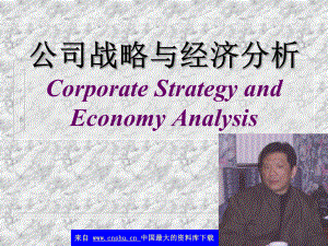 公司战略管理及经济分析