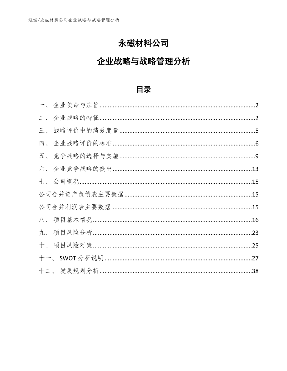 永磁材料公司企业战略与战略管理分析【范文】_第1页